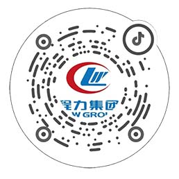 程力集團(tuán)官方抖音號